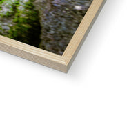 Woodwell basin Framed Print