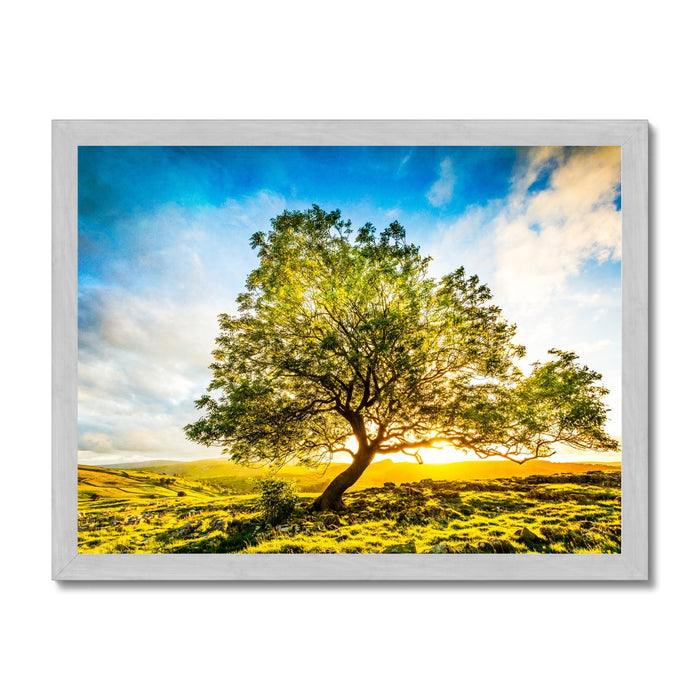 The Winskill Ash Antique Framed Print