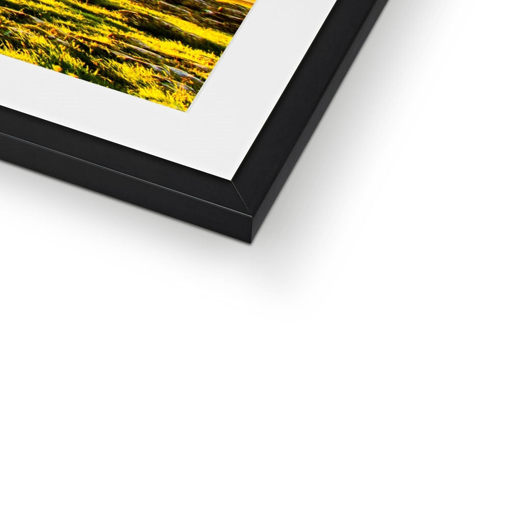 The Winskill Ash Framed & Mounted Print