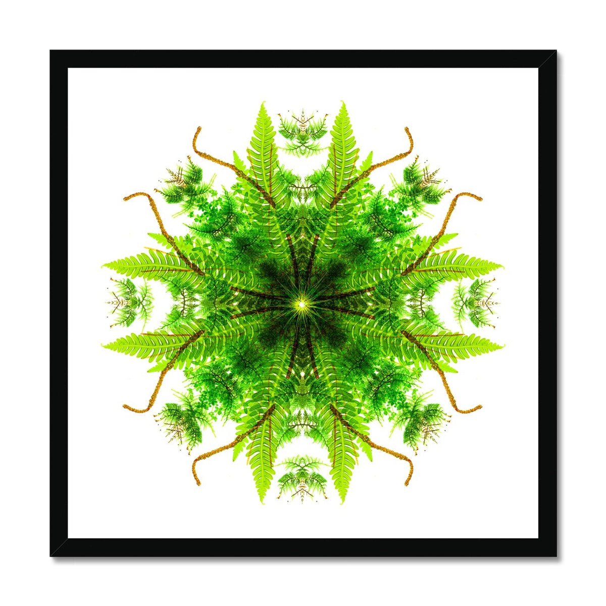 Heart of Nature Budget Framed Poster