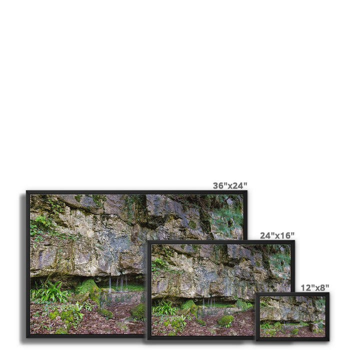 Woodwell Dawn Framed Canvas