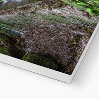 Woodwell basin Canvas