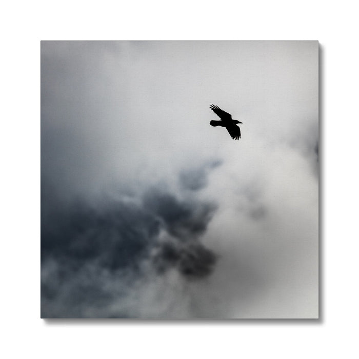 Storm Raven 2 Canvas