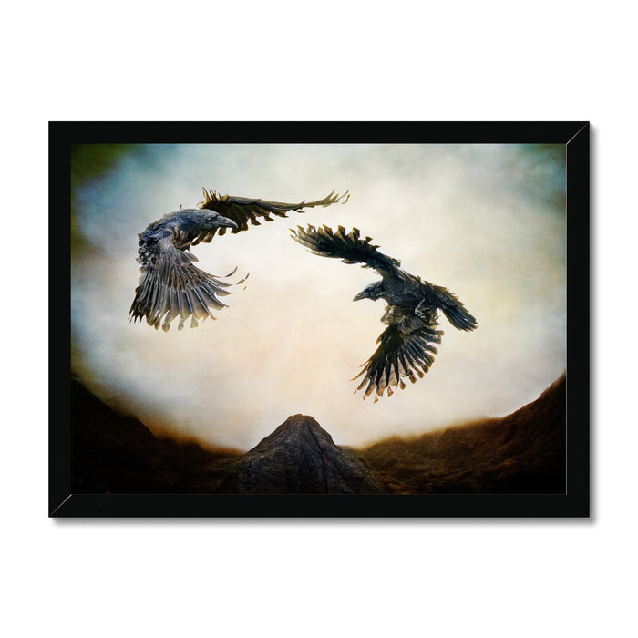 Odin's Ravens Framed Print