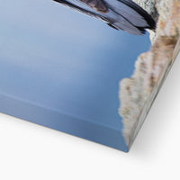 The Raven of Ireland Canvas