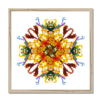 Ancient Wisdom Mandala Framed Print