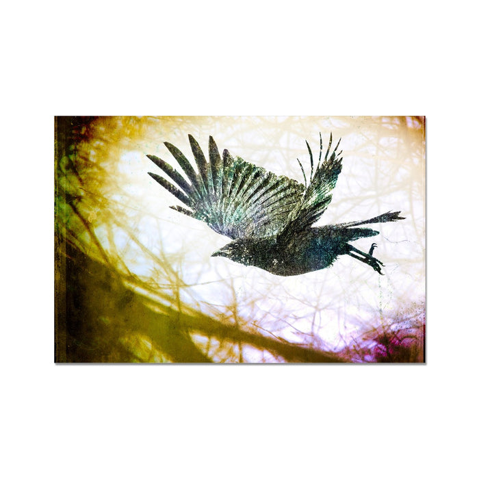 Woodland Crow Hahnemühle Photo Rag Print