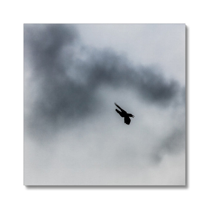 Storm Raven 3 Canvas