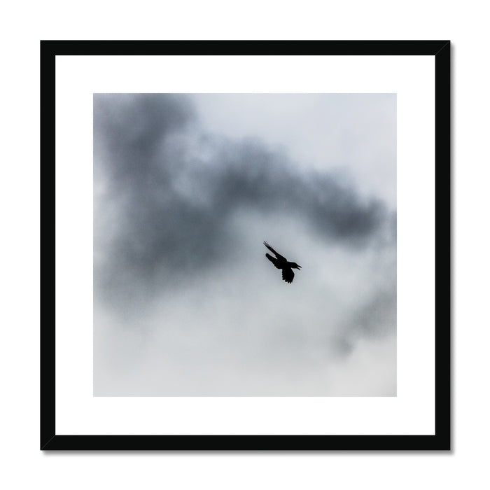 Storm Raven 3 Framed & Mounted Print