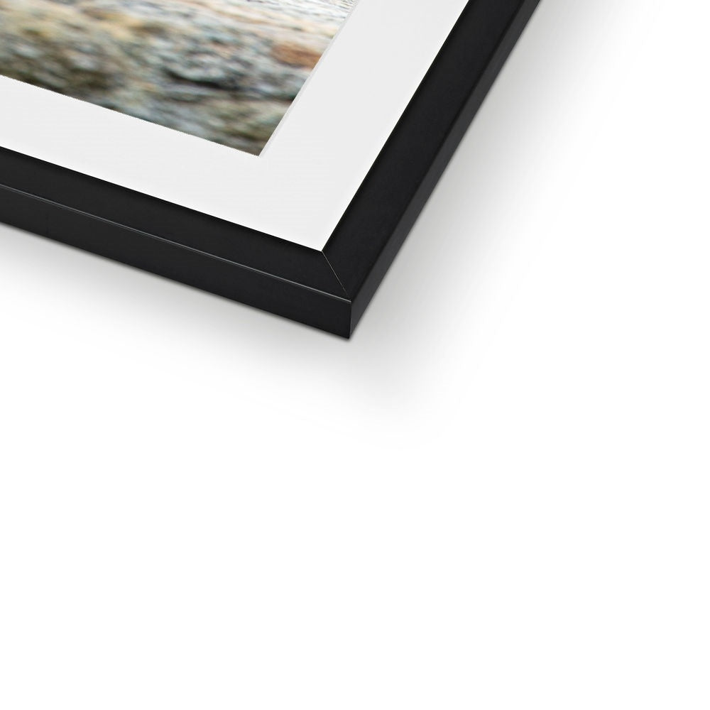 The Raven of Ireland Framed & Mounted Print