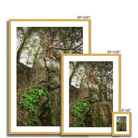 Boulder and Yew Antique Framed & Mounted Print