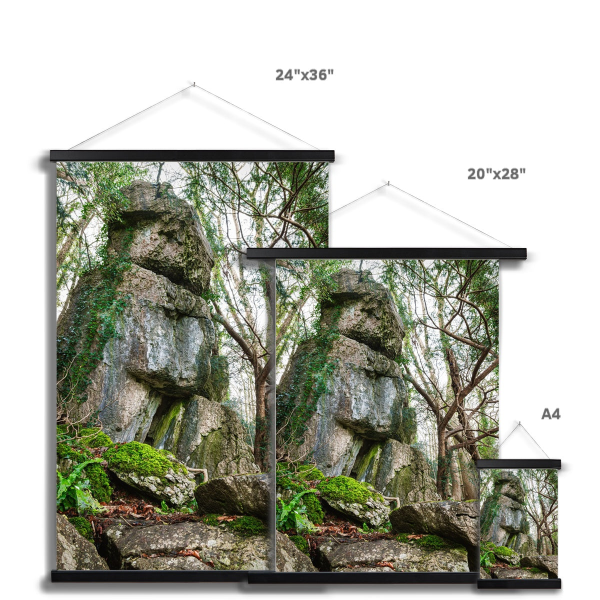 Rock Guardian Fine Art Print with Hanger