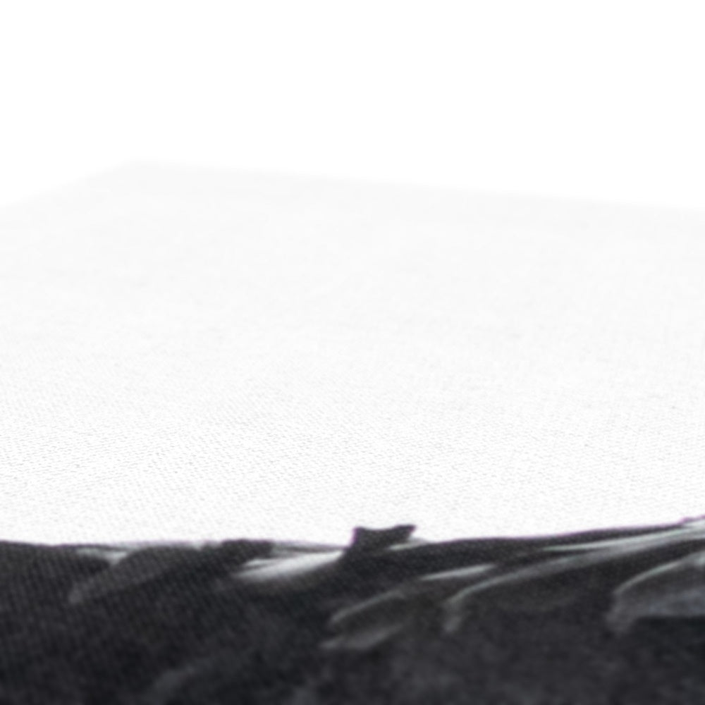 Raven 1 Canvas