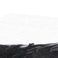 Raven 1 Canvas