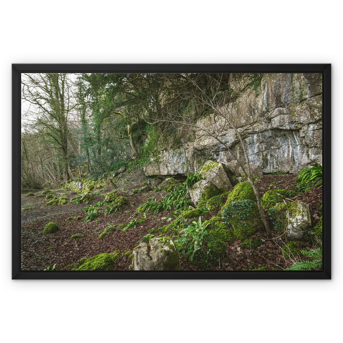 Woodwell Secrets Framed Canvas