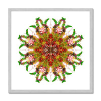 Bounty Mandala Antique Framed Print