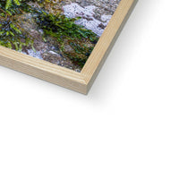 Ivy Clad Framed Print
