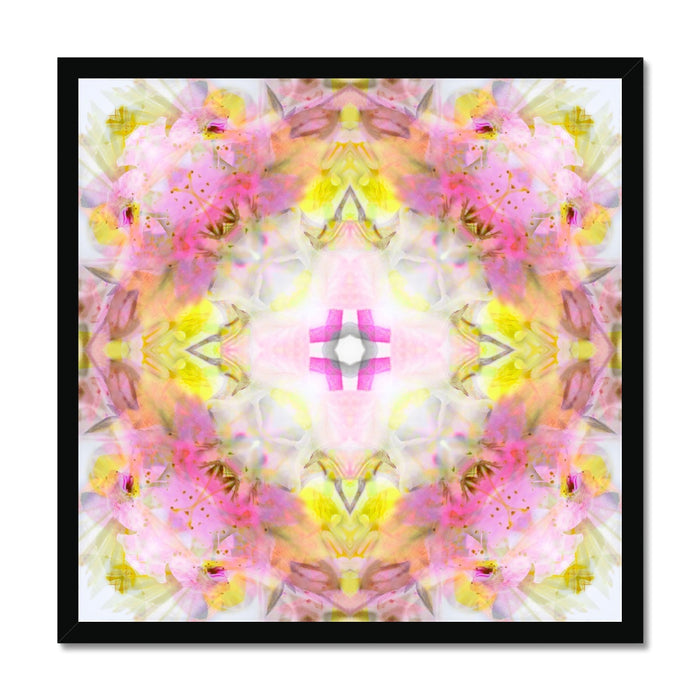 Rescue Remedy Budget Framed Poster