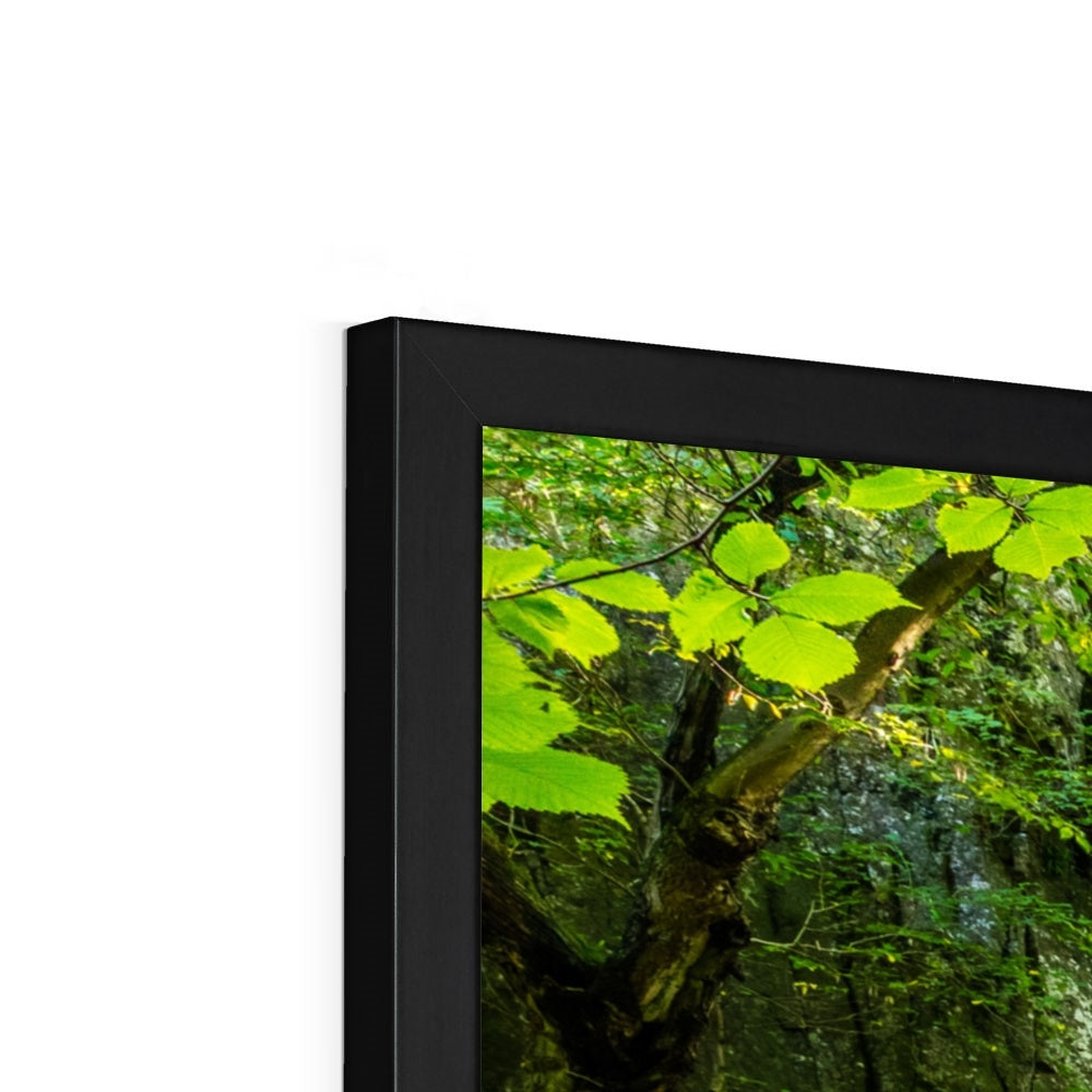 Catrigg Foss Framed Print