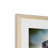 Odin's Ravens Framed & Mounted Print