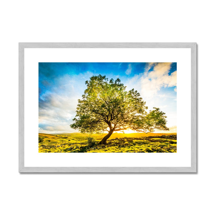 The Winskill Ash Antique Framed & Mounted Print