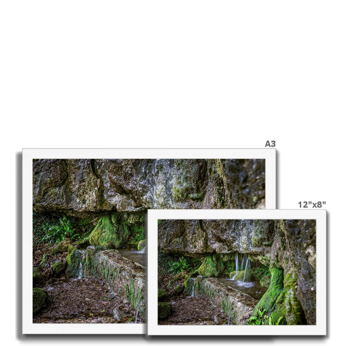 Woodwell basin Framed Print