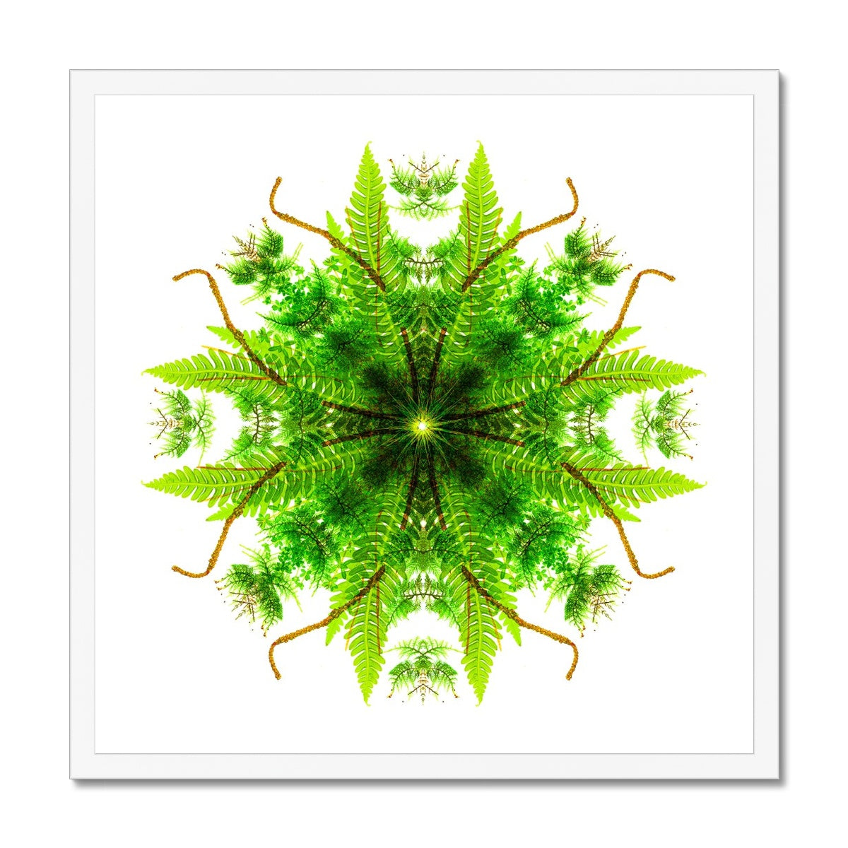 Heart of Nature Budget Framed Poster