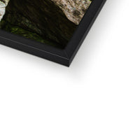 Rock Guardian Framed Print