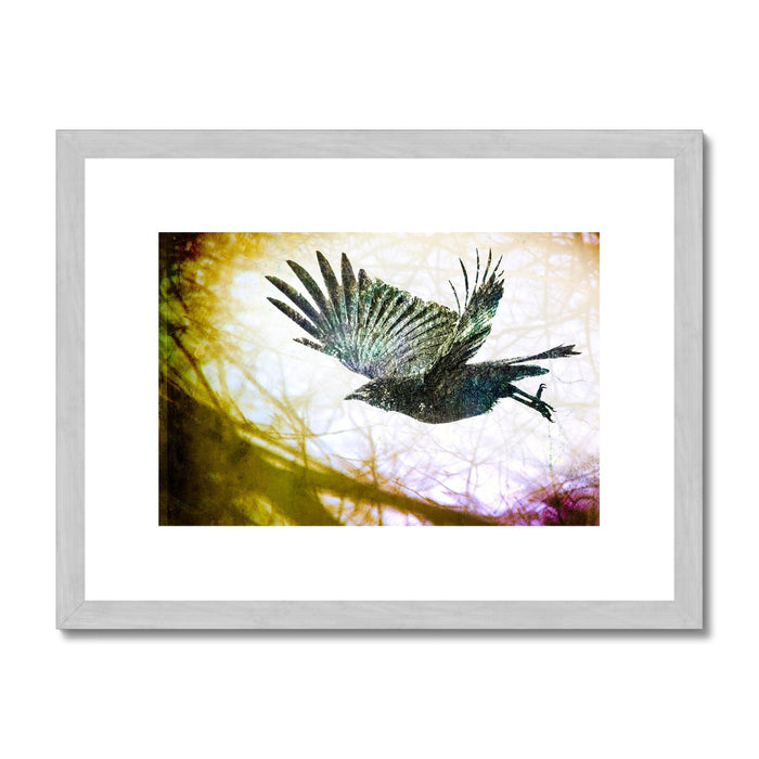 Woodland Crow Antique Framed & Mounted Print