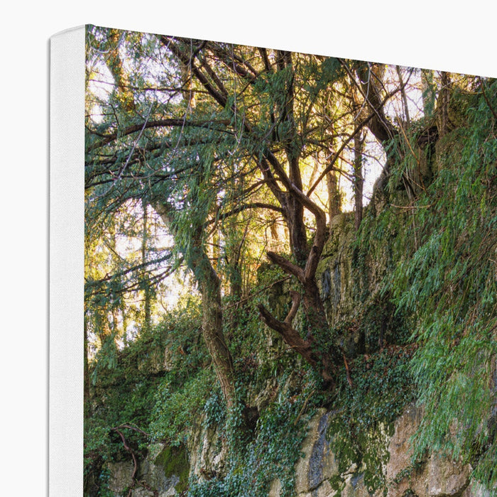 Woodwell Mystery Canvas