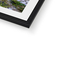 Ivy Clad Framed & Mounted Print