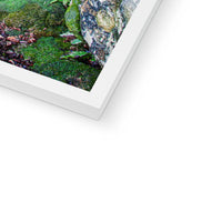 Yew guardian Framed Print