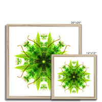 Heart of Nature Budget Framed Poster