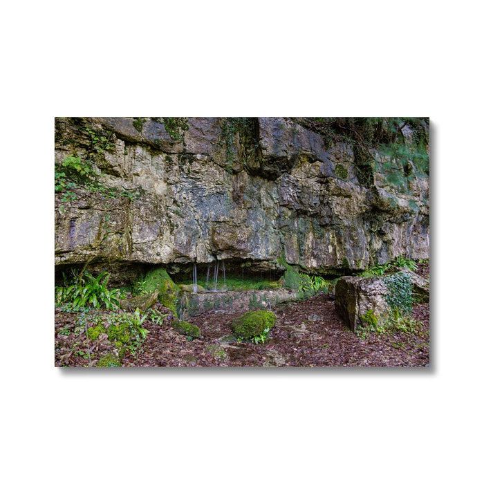 Woodwell Dawn Canvas
