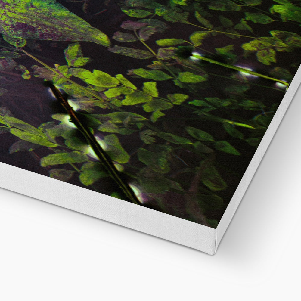 Sacred Pool Canvas