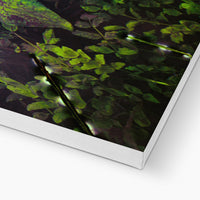 Sacred Pool Canvas