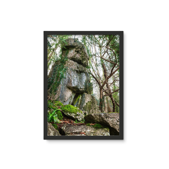 Rock Guardian Framed Photo Tile