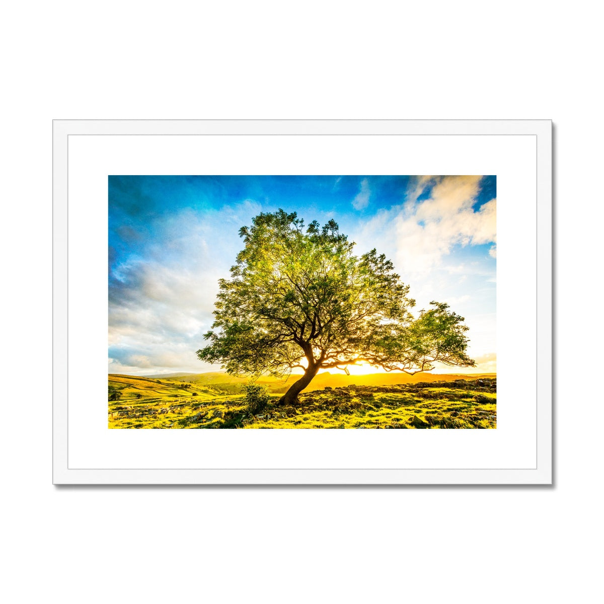 The Winskill Ash Framed & Mounted Print