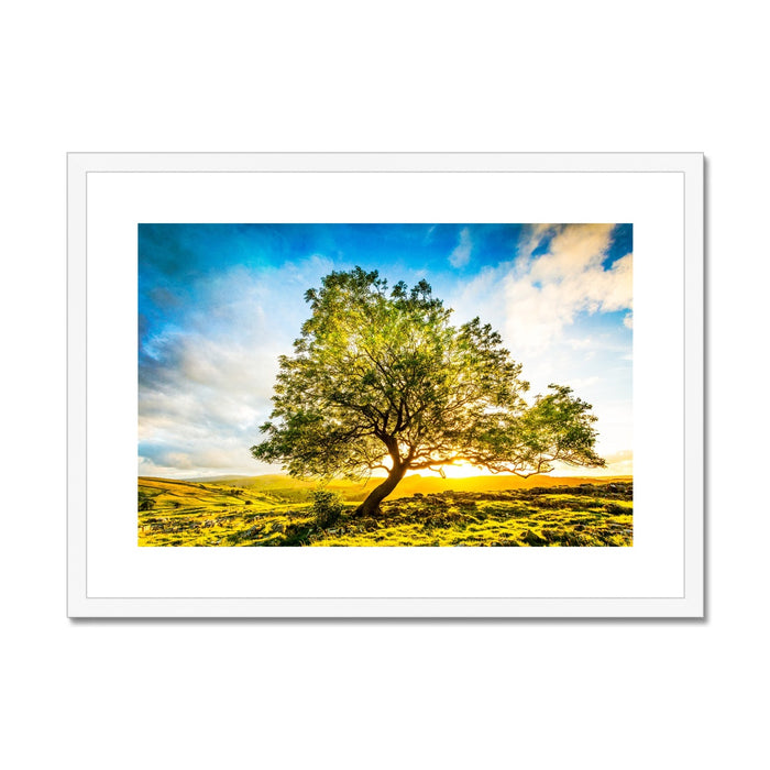 The Winskill Ash Framed & Mounted Print
