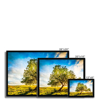 The Winskill Ash Framed Print