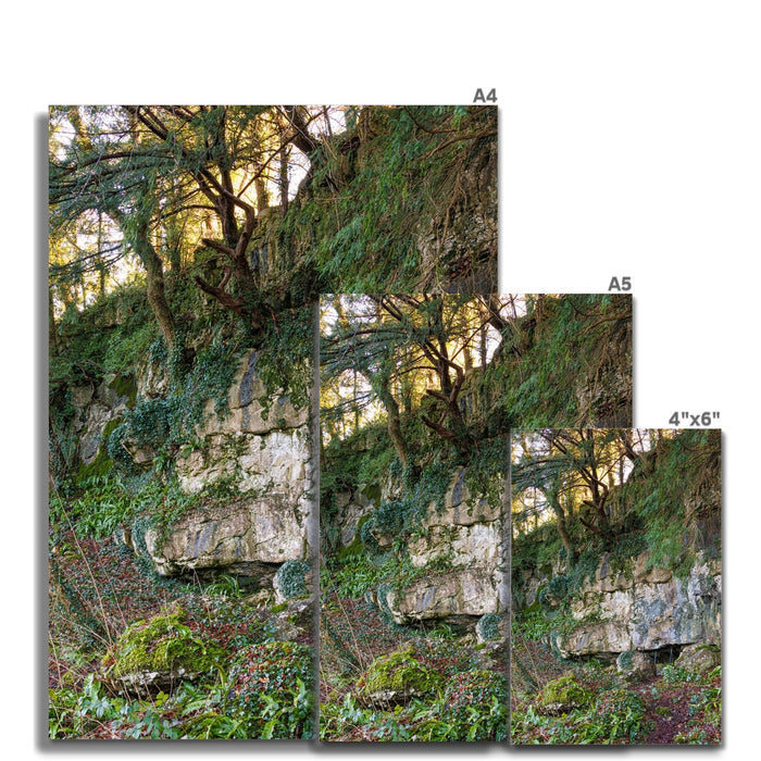 Woodwell Mystery Wall Art Poster