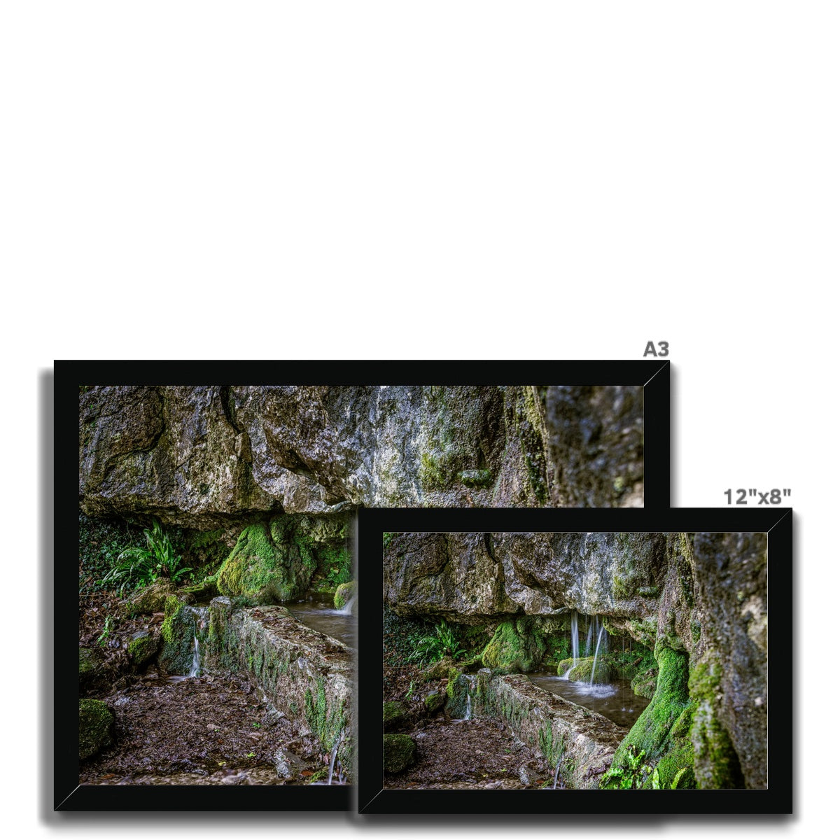 Woodwell basin Framed Print