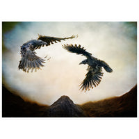 Odin's Ravens Sticker