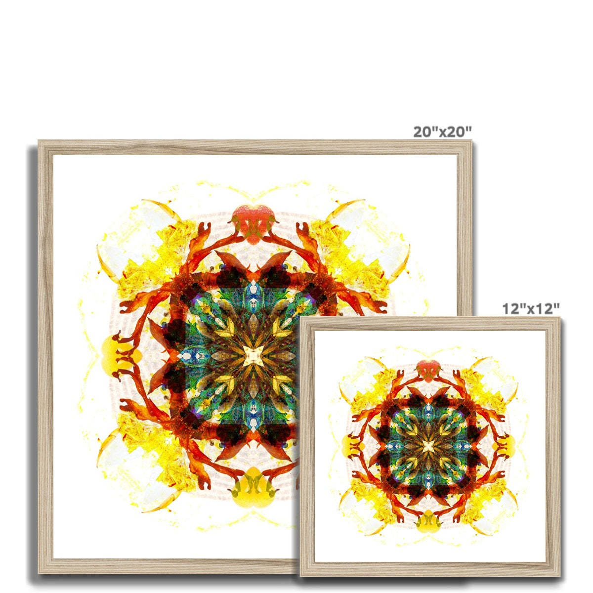 Earth Healing Budget Framed Poster