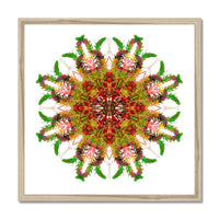 Bounty Mandala Framed Print