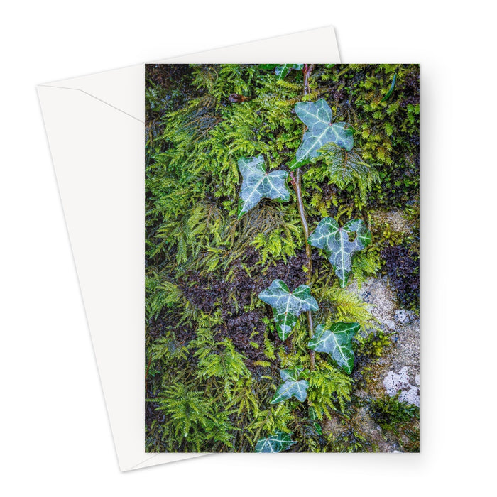 Ivy Clad Greeting Card