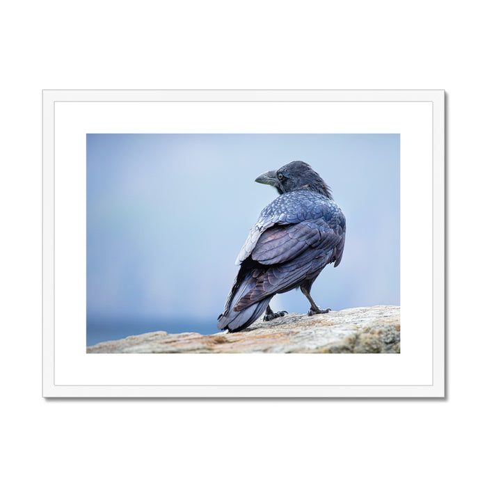 The Raven of Ireland Framed & Mounted Print