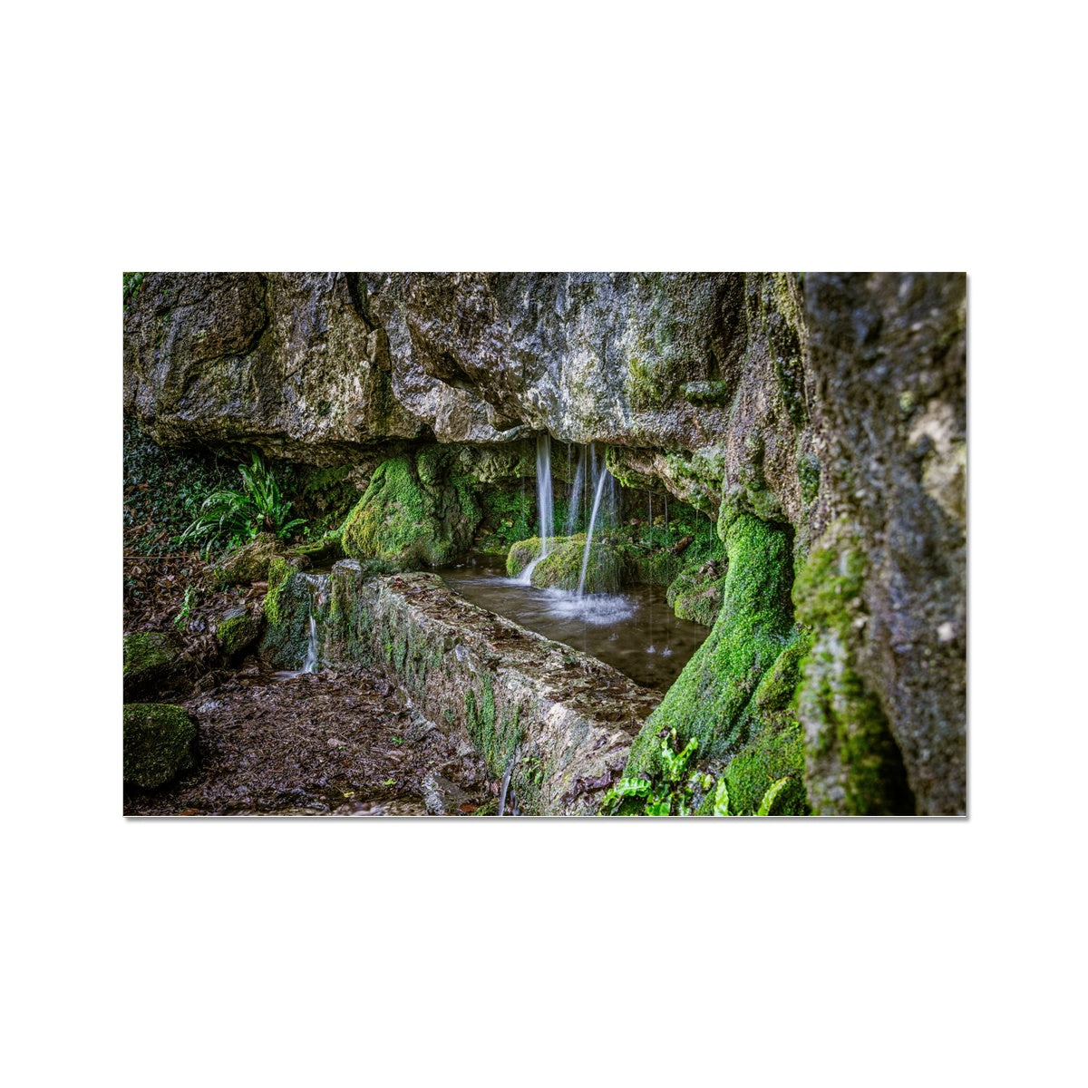 Woodwell basin Wall Art Poster