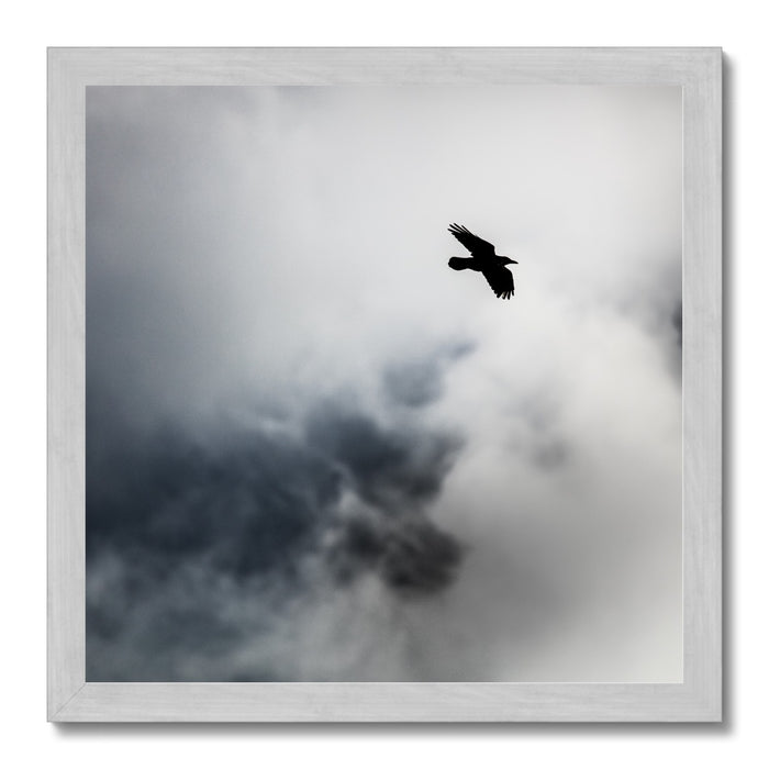 Storm Raven 2 Antique Framed Print