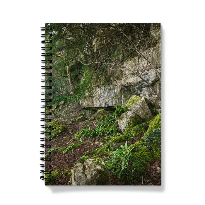 Woodwell Secrets Notebook
